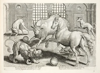 Combattimento feroce e sanguinoso tra un leone, un toro e un cavallo, circondati da cani che abbaiano furiosamente, illustrazione da 
